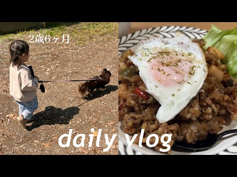 【2days vlog】突然の高熱🤒我が家のシェフ👨🏻お手製アジアンチャーハンの作り方🧑‍🍳【男飯】