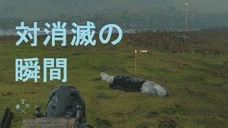 【デススト】遺体をBTにして対消滅（ヴォイドアウト）を起こしてみた