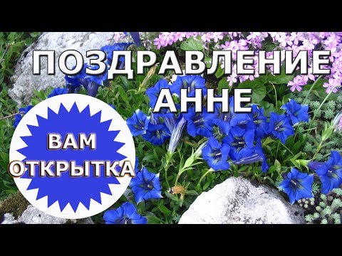 Поздравление Анне