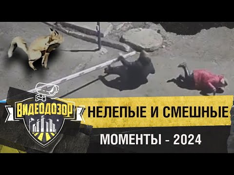 Смешные и необычные ситуации, попавшие в обзор камер «Уфанет» в 2024 году | Видеодозор