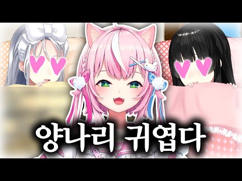 【니지산지】자신이 남자라면 가치코이 할 것 같은 라이버【히구치 카에데/츠키노 미토/양나리】