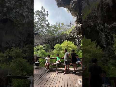 Lake Cave | Western Australia | Margaret river #travel #australia #cave