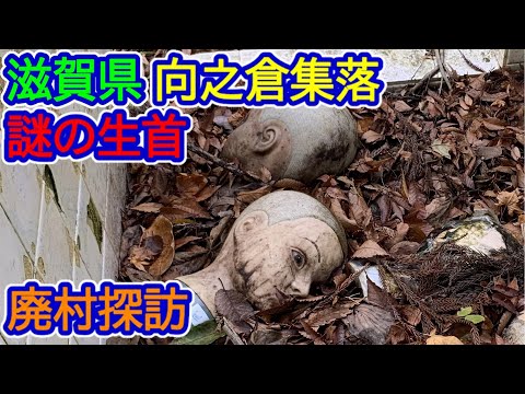 【滋賀県】向之倉探訪（謎の生首を発見）県道17号線分岐から徒歩20分