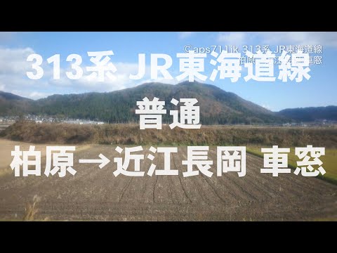 JR東海道線 313系 普通 柏原→近江長岡 車窓