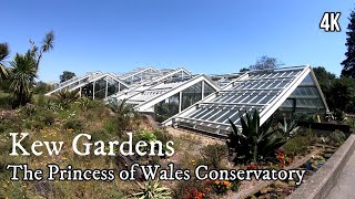 Kew Gardens - The Princess of Wales Conservatory (4K) Virtual Tour