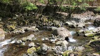 【奈良】上北山村・和佐又渓流釣り場（2021年5月4日）