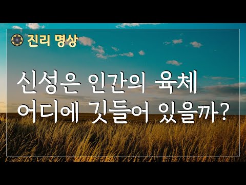 신성은 인간 육체 어디에 깃들어 있을까? [진리 명상] #78