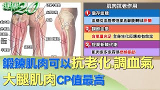 鍛鍊肌肉可以抗老化.調血氣 大腿肌肉CP值最高 健康2.0