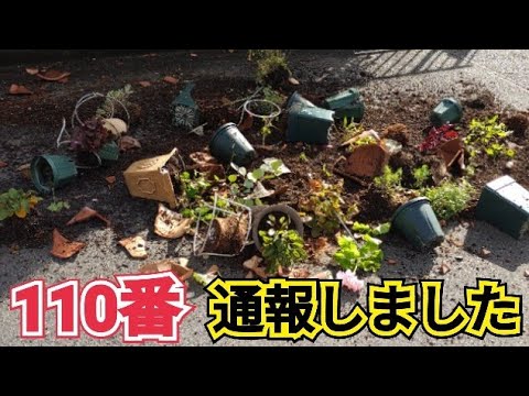 【犯人逃走中】庭を荒らされました