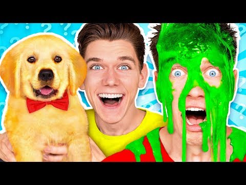 Dogs Pick our Mystery Slime Challenge! Learn How To Make the Best DIY Funny Switch Up Oobleck Game