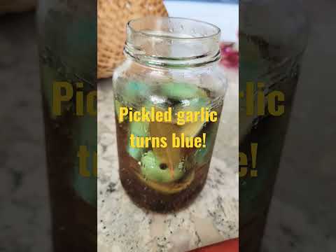 Just eat it!!! #pickling #foodpreservation #garlic