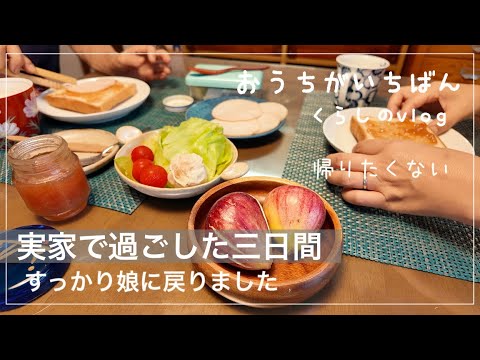 【実家紹介】問題発生/夏の夜空に感動/母の趣味