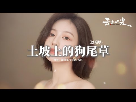 盧潤澤/歪歪超/宮巴 - 土坡上的狗尾草 (說唱版) 『在這個大城市中你是我唯一的依靠，都說努力的人會被身邊的美好環繞，可為什麼老天總是說一套 做一套。』【動態歌詞MV】