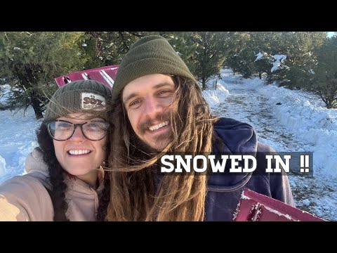 Snowed In! Shoveling 2 Feet of Snow On Our Mountain Homestead  | Colorado Mountain Life