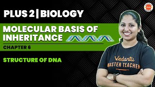 Plus Two Biology | Molecular Basis Of Inheritance | Structure Of DNA | Vedantu Malayalam