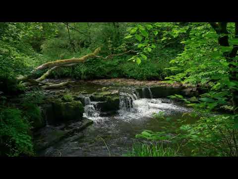 Relaxing Sounds of Waterfall White Noise