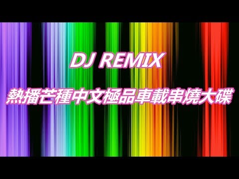 DJ REMIX2019 熱播芒種中文極品車載串燒大碟