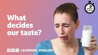 What decides our taste? ⏲️ 6 Minute English