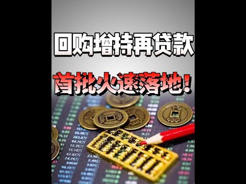 A股首批！“回购增持再贷款”火速落地！#王大沁 #股市