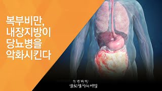 복부비만, 내장지방이 당뇨병을 악화시킨다 - (20141126_526회 방송)_사회적 질병, 뱃살