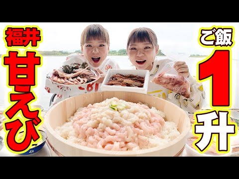 【大食い】お米一升にたっぷりの甘エビで極上海鮮丼！浜焼きも満喫in福井県三国港市場【大胃王】