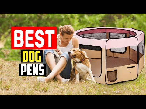 ✅Top 5 Best Dog Pens in 2025