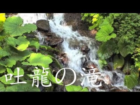 ✔魅惑の滝の音　ヒーリング効果ばっちり！快眠癒しに/最高のヒーリングNo.65