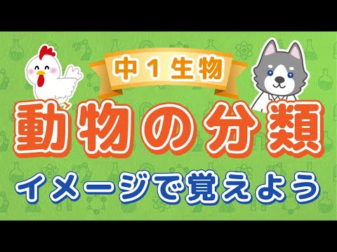 中1理科『セキツイ動物の分類』