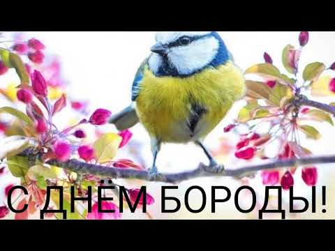 С ДНЕМ БОРОДЫ! САМОЕ КРАСИВОЕ ПОЗДРАВЛЕНИЕ С ДНЕМ БОРОДЫ