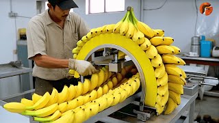 Modern Food Processing Machines operating at an Insane Level ▶3