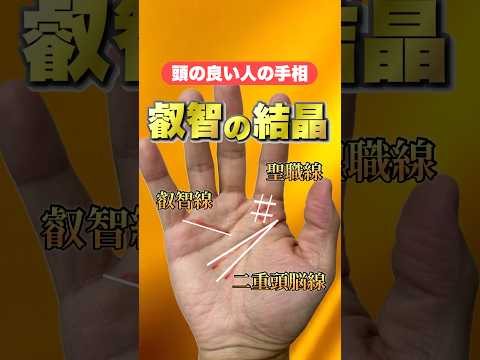 【頭の良い手相】思考がキレッキレの人に現れる手相 #手相  #手相占い  #開運  #スピリチュアル  #占い  #金運  #雑学  #運勢 #運気