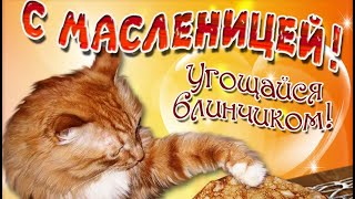 ШИРОКОЙ МАСЛЕНИЦЫ! КРАСИВОЕ ПОЗДРАВЛЕНИЕ С МАСЛЕНИЦЕЙ! МАСЛЕНИЧНАЯ НЕДЕЛЯ! СКОРО ВЕСНА!