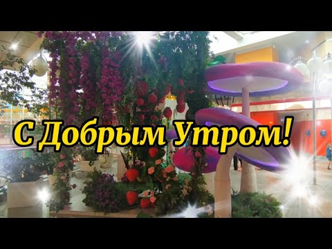 Пусть день принесет радость и тепло!