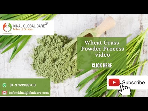 Wheat Grass Powder Process