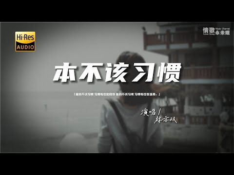 林亦双 - 本不该习惯♫『是我不该习惯 习惯有你的陪伴，是我不该习惯 习惯有你的温暖。』『动态歌词 | 高音质』