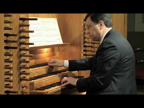 J. S. Bach - Vivaldi - Organ Concerto in D minor BWV 596 - Alessio Corti