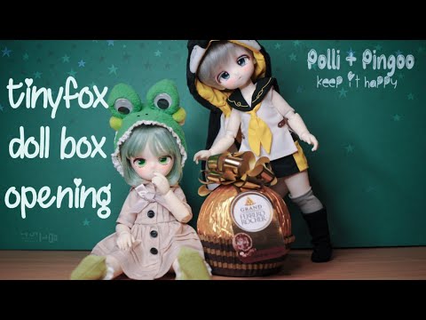 Tinyfox Doll Box Opening [MJD]