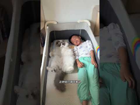 我家猫带娃睡觉就像小时候妈妈带你睡觉一样…容不得半点小动作 #记录猫咪日常 #猫和孩子