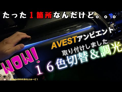 たった１箇所！人気箇所のみ購入？！アヴェスト　アンビエントライト購入　コスパゲロ悪　選べる１６色＆調光機能　アルヴェル３０用　　AVESTのSKYVIEW LED NIGHT LINE で遊ぶ