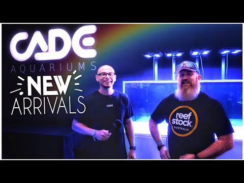 We Talk New Tanks with Cade Aquariums! | @ReefBuildersVideo ReefStock Australia 2022