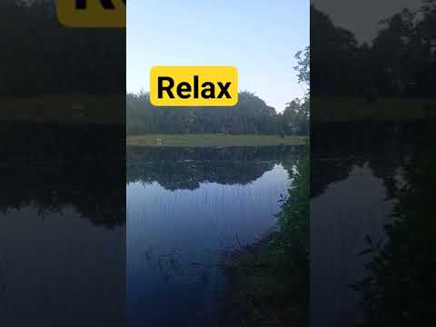 #relax #morning #shorts #aqua #lac #magic #shortsvideo #short #viral #fish ♥️♥️♥️