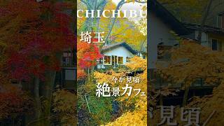 行くなら今！朝8時から行ける絶景カフェ🍁【2024年12月2日撮影】#秩父グルメ #秩父　#埼玉グルメ  #埼玉 #japanfood