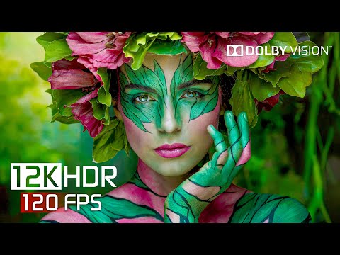 World's Most Beautiful HDR 12K 120 FPS Dolby Vision (12K Video)