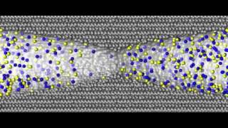 ionic current avc