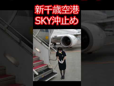 【新千歳空港沖止め】SKY羽田空港行沖止めに搭乗！ shorts