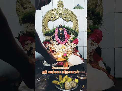 தென்காசி தோரணமலை அருள்மிகு வல்லப விநாயகர் தீபாராதனை #shorts