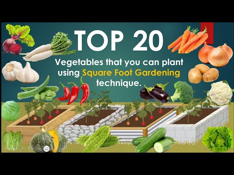 TOP 20 Vegetables that you can plant using SQ FOOT GARDENING technique