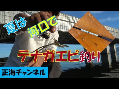 夏は河口でテナガエビ釣り　初めての釣り Part32