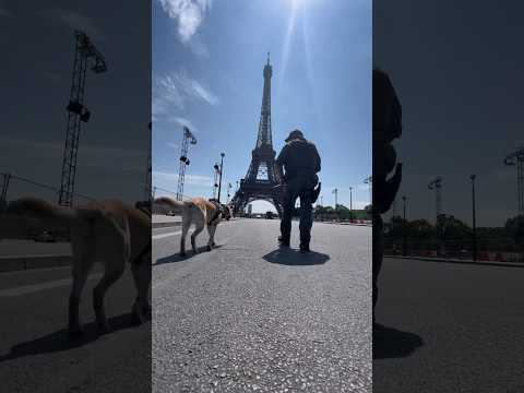 Here we go! 👮‍♂️ 🇺🇸 ➡️ 🇫🇷 🐕 #Olympics2024