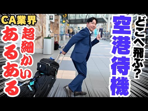 【裏方CA】欠航を防ぐ為、空港待機する５時間｜業界あるある